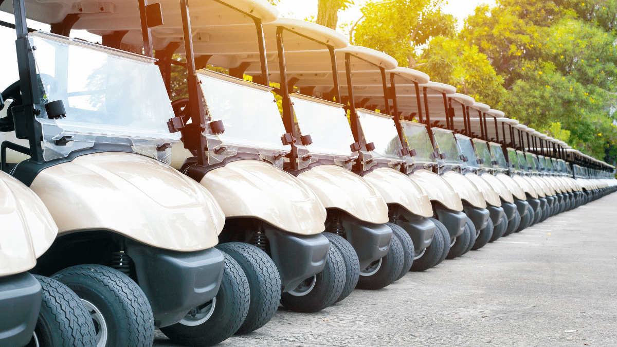 Luxury golf cart