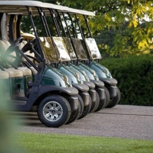 Golf Cart Maintenance